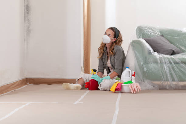 Reliable Mold Testing contractor in Northport, MI by WQB Mold Removal
